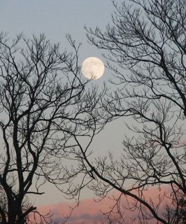 Full Moon over Shenandoah National Park